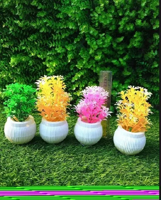 Colorful Artificial Cactus in White Pots for Home Décor