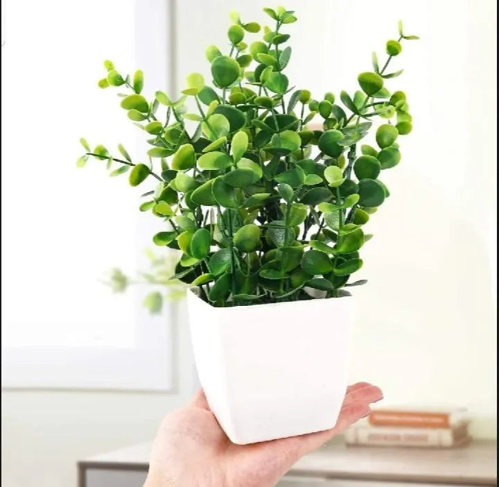 White Plastic Plant Planter for Home Office Décor