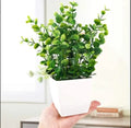 White Plastic Plant Planter for Home Office Décor