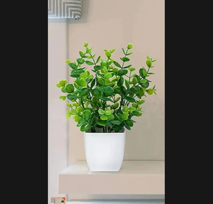 White Plastic Plant Planter for Home Office Décor