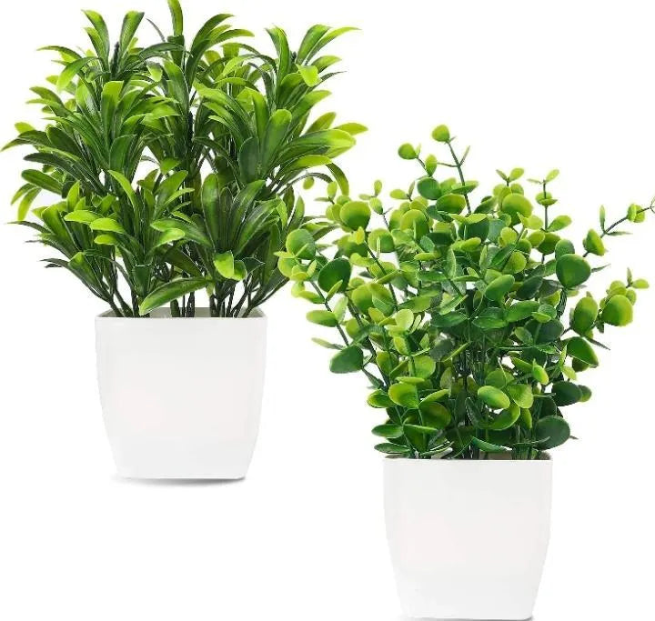 White Plastic Plant Planter for Home Office Décor